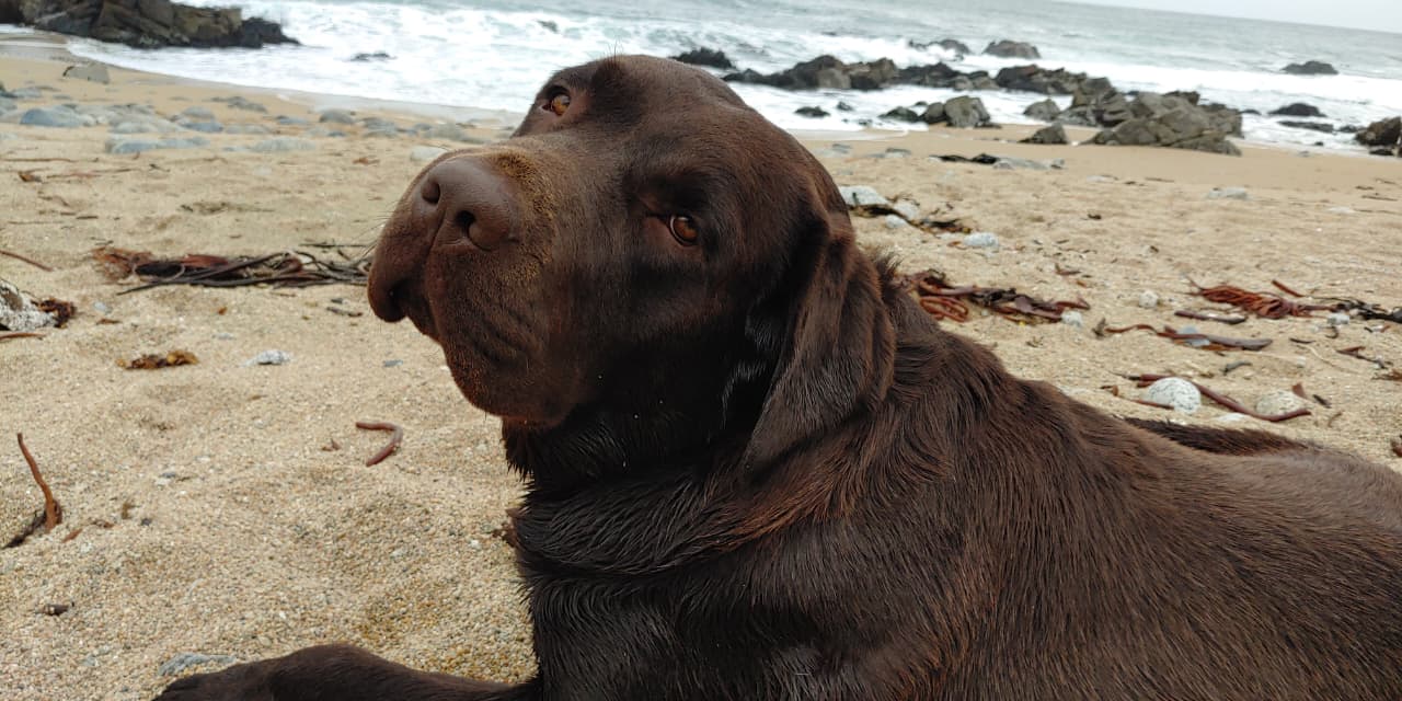 our-story Oliver